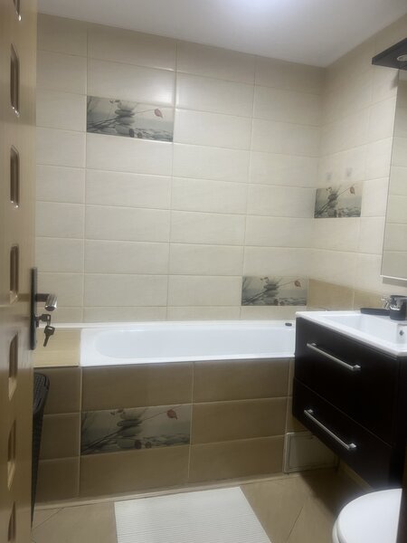 Camil Ressu, Dristor, langa McDonalds, metrou Dristor,